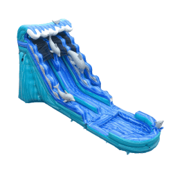 20ft Dual Lane Dolphin Slide