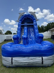 15 ft Dolphin Slide