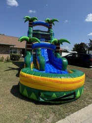 18 FT Single Lane Palm Tree Slide