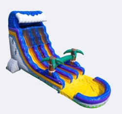 20ft Dual Lane Palm Tree Slide